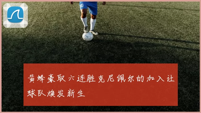 黄蜂豪取六连胜克尼佩尔的加入让球队焕发新生